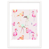 Flamingo Formation thumbnail