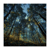 Celestial Forest Canopy with Swirling Golden Fireflies and Deep Twilight Blue Sky Digital Art (Print Only) thumbnail