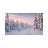 Winter’s Gentle Embrace (Print Only)