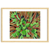 Meadow at spring thumbnail