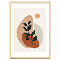 Soft Shapes II