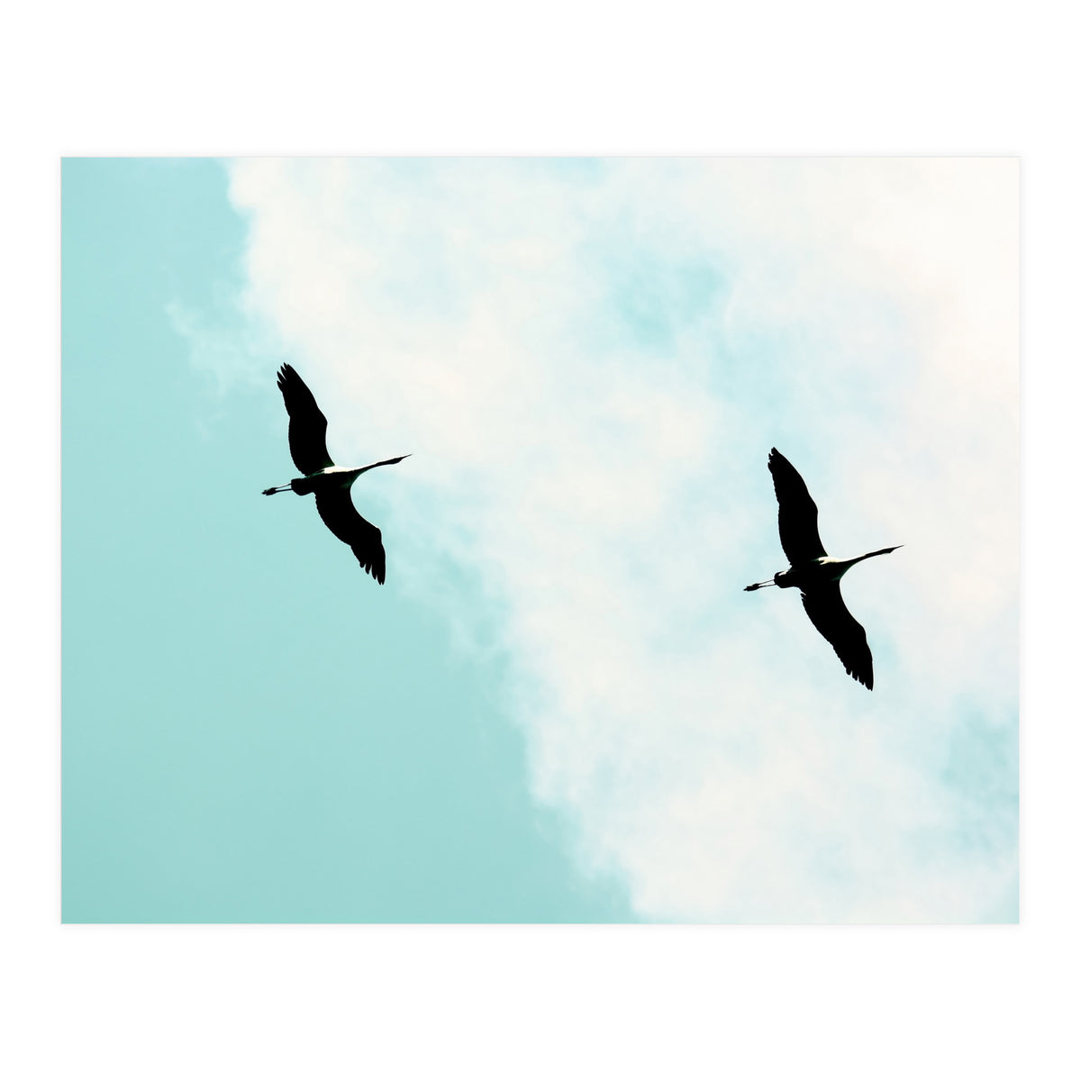 Crane(s) V (Print Only)