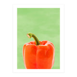 Red Bell Pepper, Fresh Kitchen Art, Capsicum Chilli (Print Only) thumbnail