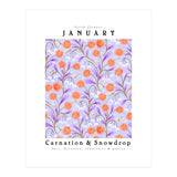 Carnations And Snowdrop January Birth Flower Floral Print (Print Only) thumbnail