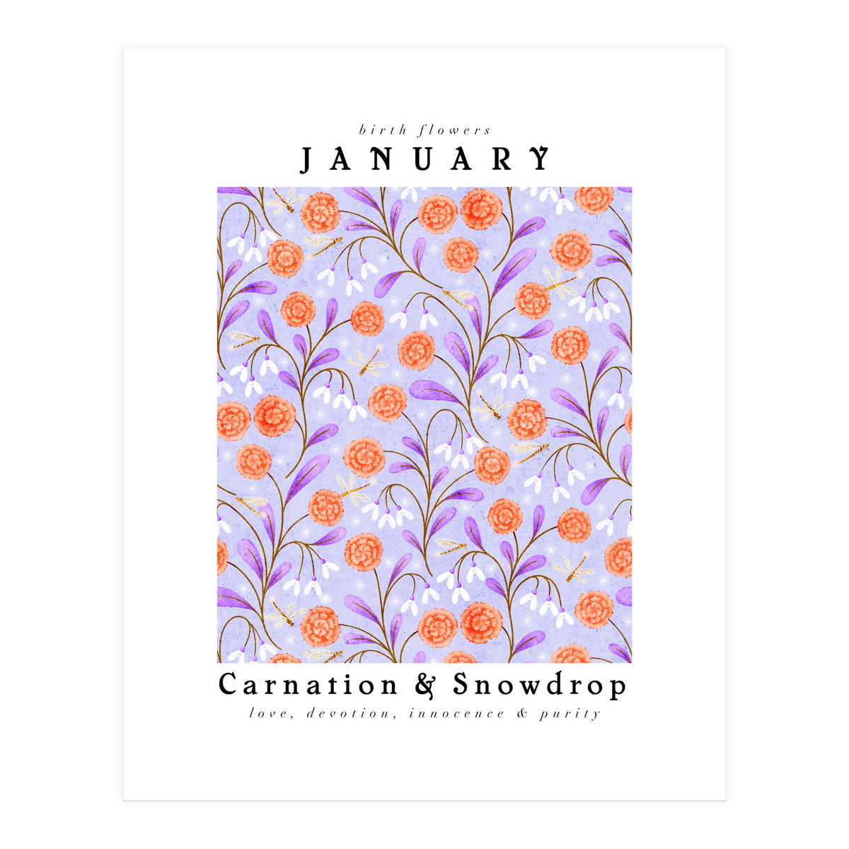 Carnations And Snowdrop January Birth Flower Floral Print (Print Only)