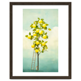 Lemon Tree thumbnail
