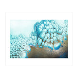 Moonlit Reef (Print Only) thumbnail