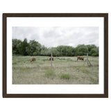Cows in the farm thumbnail