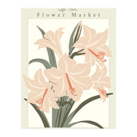 Flower Market Cap Town Amaryllis (Print Only)