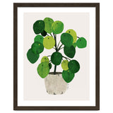 Pilea Plant thumbnail
