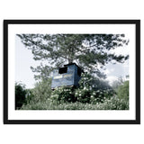 Blue hut on the tree thumbnail