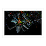 Orange, Green and Dark (Print Only) thumbnail