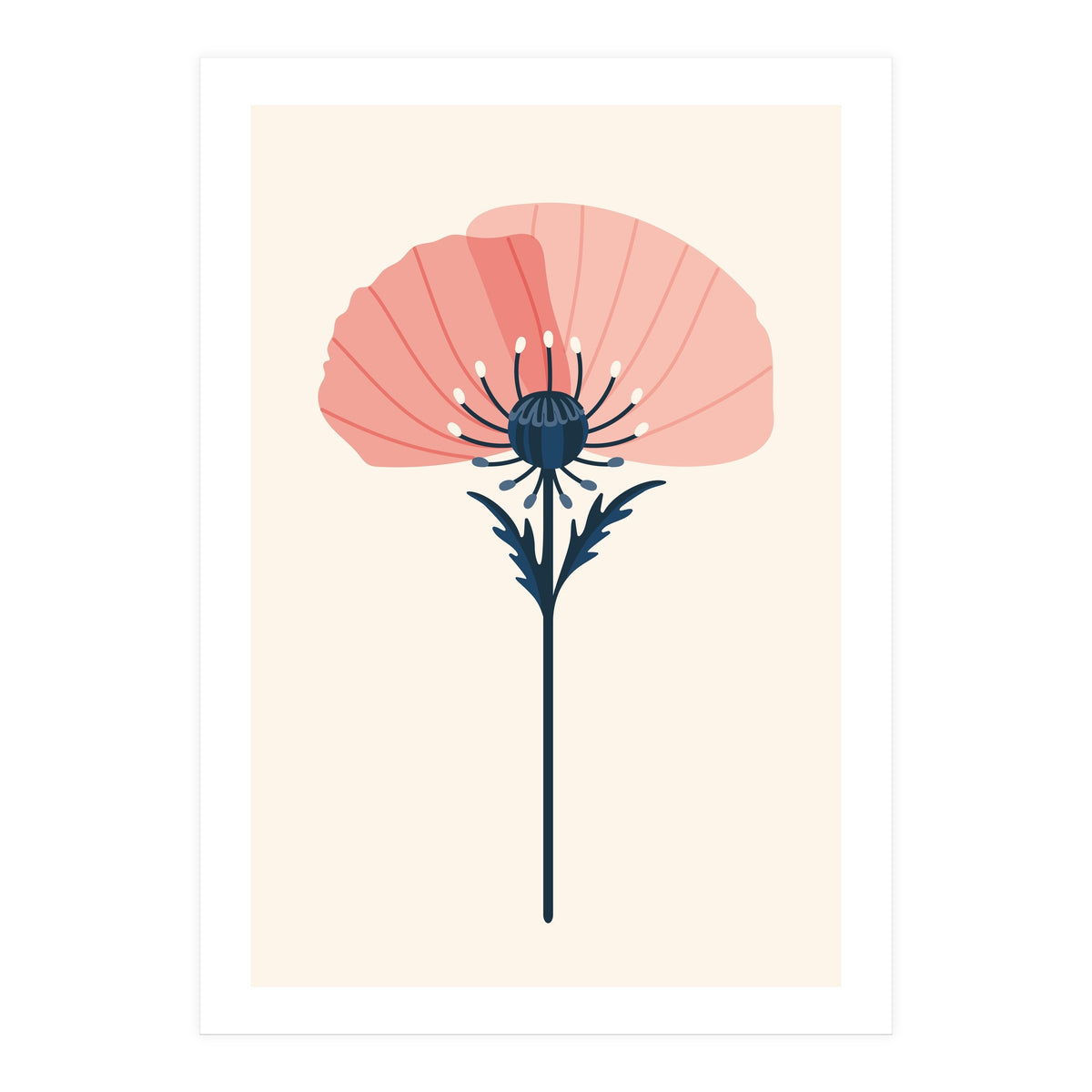 Pink Half Poppy (Print Only)