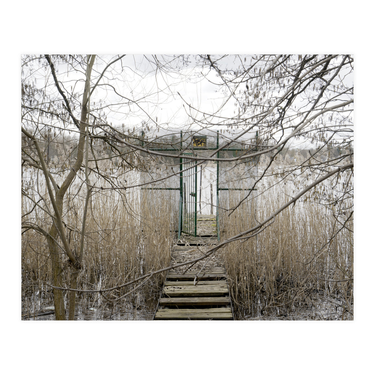 The gate to the lake (Print Only)