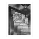 Evolving | Black & White (Print Only) thumbnail