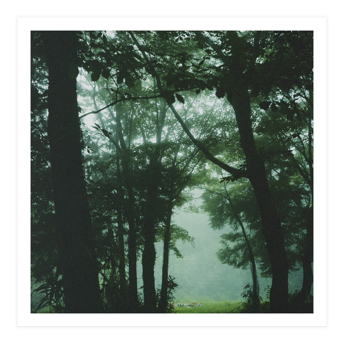 Silence of breath - 13 (Print Only)
