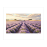 Provençal Sunset: Lavender Field Landscape (Print Only) thumbnail