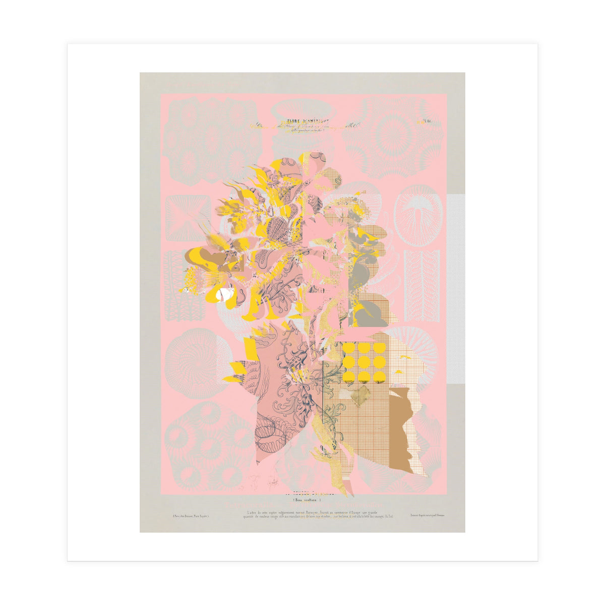 The First Plant · Tuesday Mix Mit Resten (Print Only)