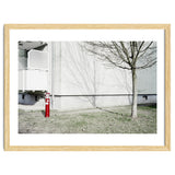 Red light pole and Tree shadow on the wall thumbnail