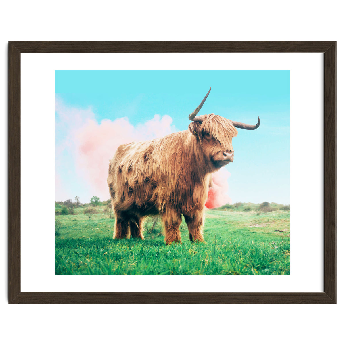 Highland Cow #society6 #decor #buyart
