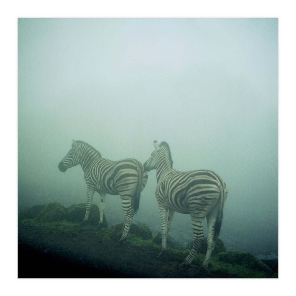 Silence of breath - 14 (Print Only)