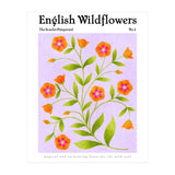 English Wildflowers | Scarlet Pimpernel  (Print Only) thumbnail
