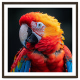 Scarlet Macaw Parrot Portrait Vivid Colors thumbnail