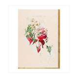 The First Plant · Aufbluehen (Print Only) thumbnail