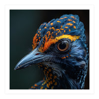 Close Up Of A Colorful Bird Head And Eye (Print Only)