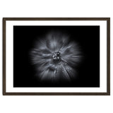 Backyard Flowers In Black And White No 66 Flow Version thumbnail