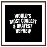 World's most coolest and okayest nephew thumbnail