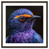 Close Up Portrait Of A Vibrant Exotic Bird thumbnail