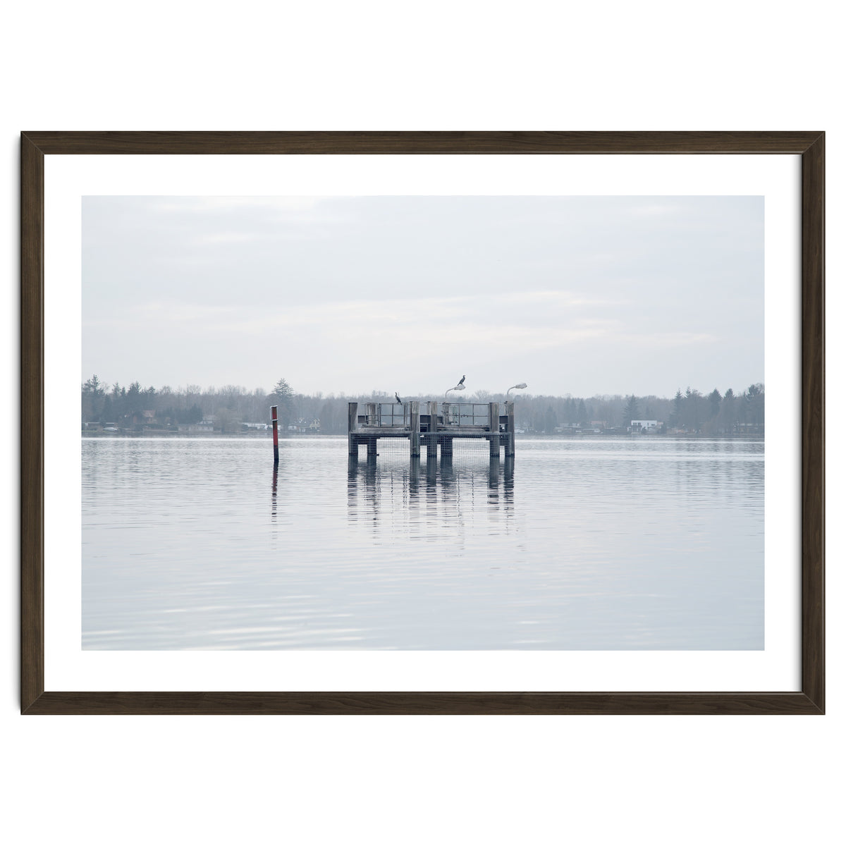 Birds rest in the Lake