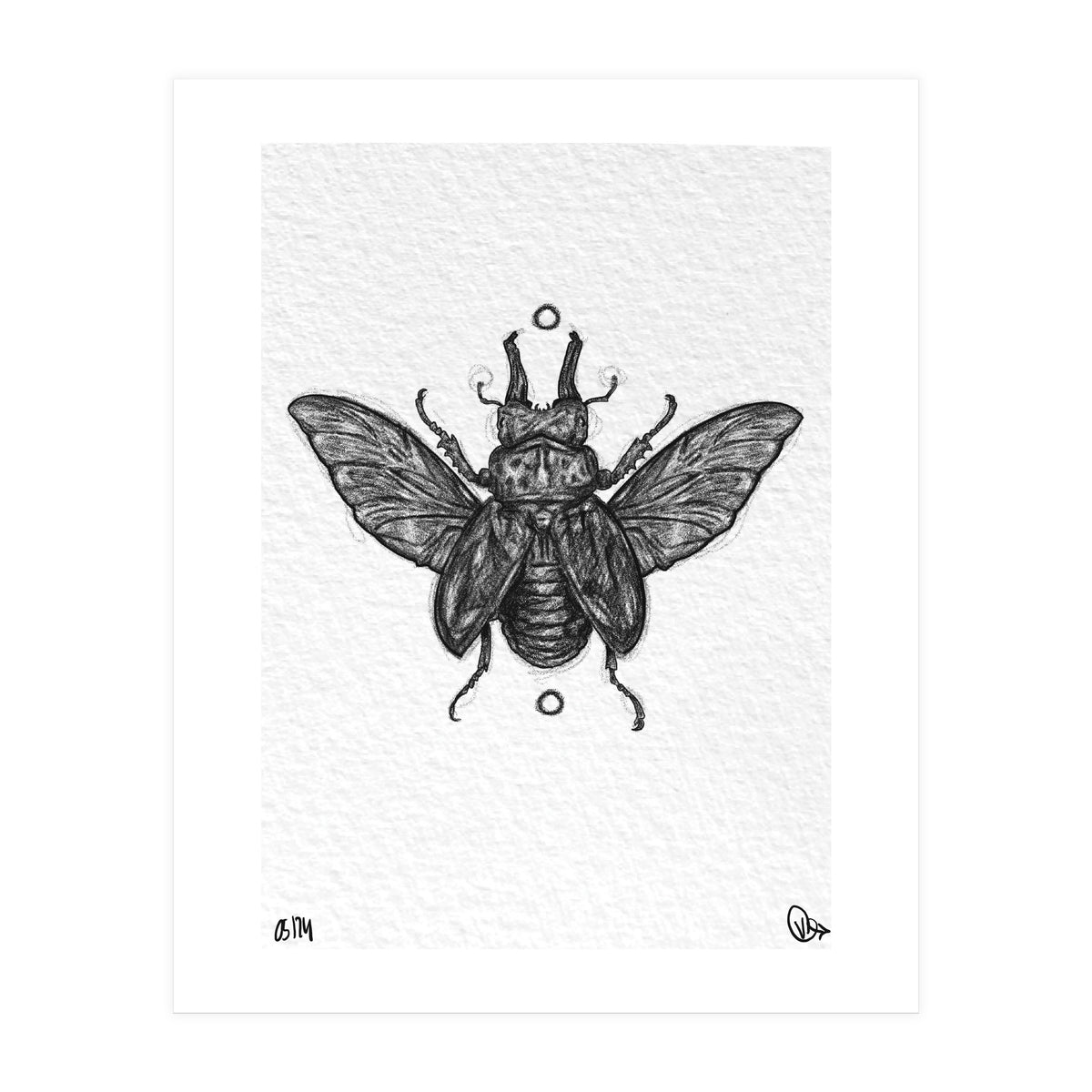 Hirschkäfer  (Print Only)