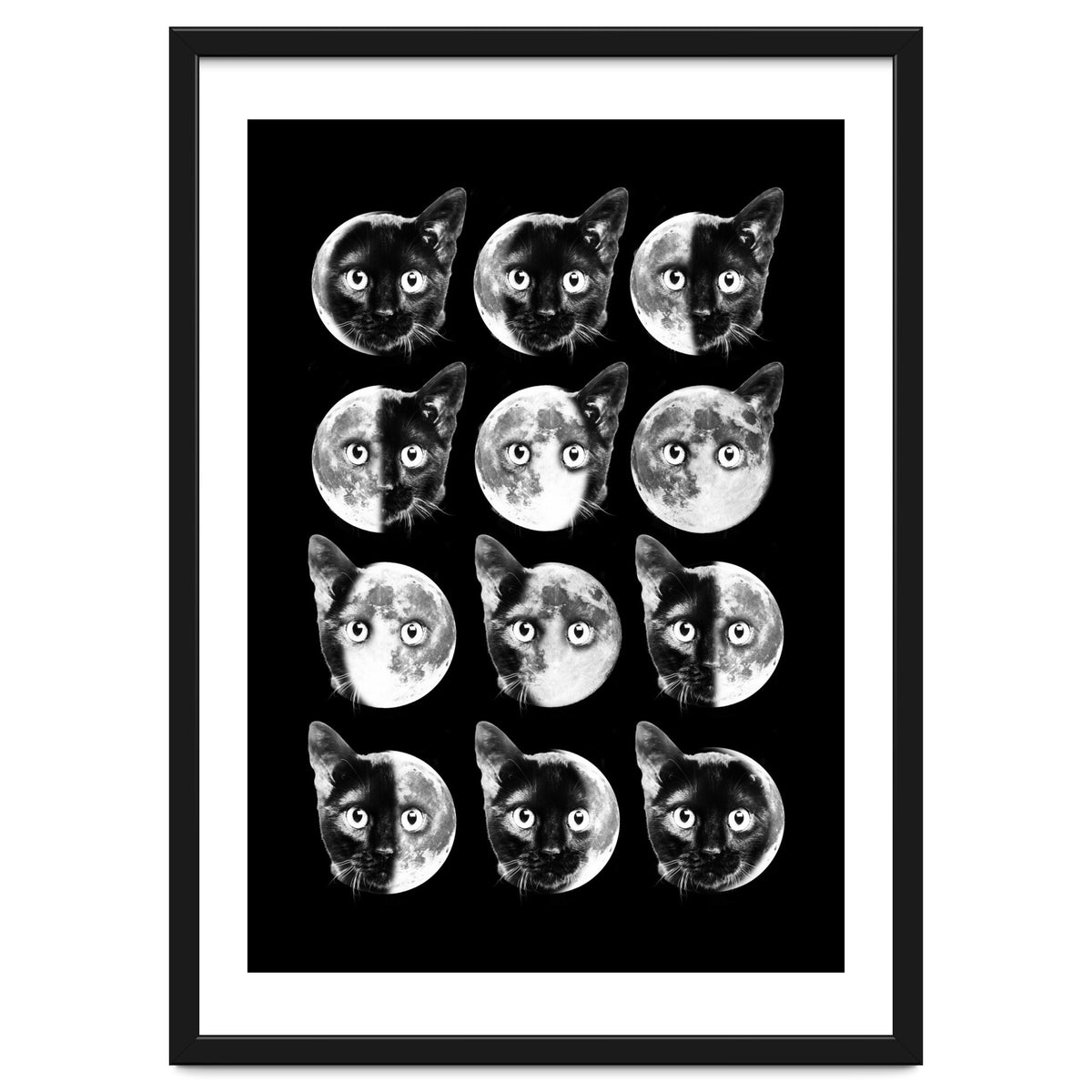 Cat Moon Phases