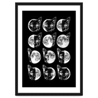 Cat Moon Phases