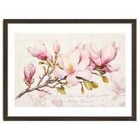 Magnolia Spring Romance Pink