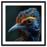 Close Up Of A Colorful Bird Head And Eye thumbnail