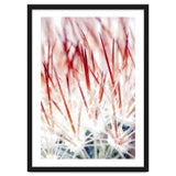 Delicate Florals thumbnail