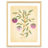 Vintage Fruits thumbnail