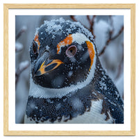 Penguin In Snow Falling Close Up Portrait