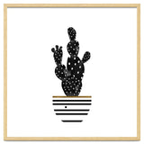 Black Cactus thumbnail
