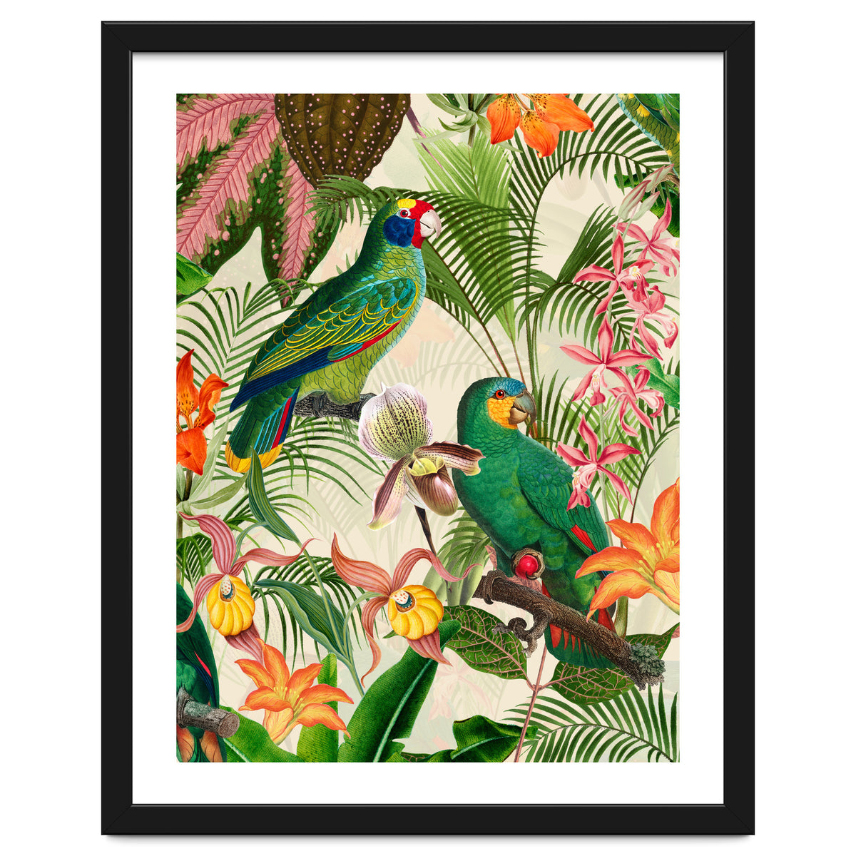 Parrots in tropical Jungle
