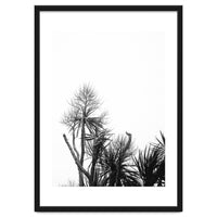 Miminalist Palm