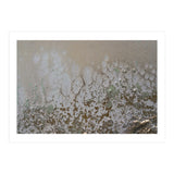 Lifted (Print Only) thumbnail