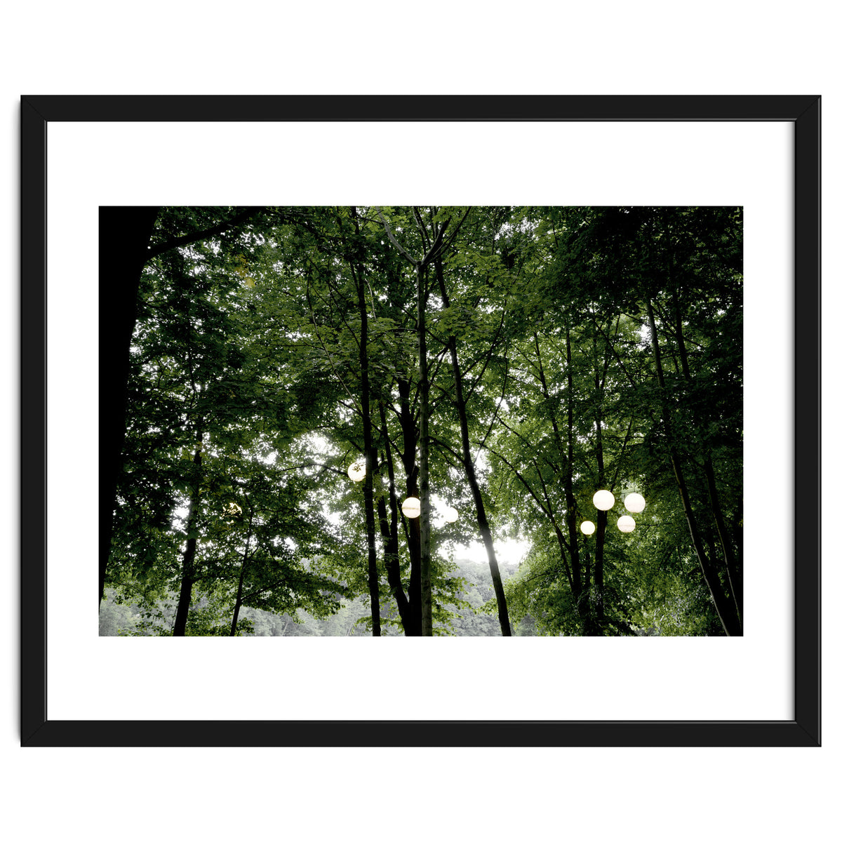 Light bulb among the trees in the summer forest