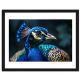 Peacock Head Close Up Majestic Blue Bird thumbnail