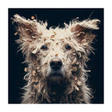 Old Dog 06 (Print Only) thumbnail