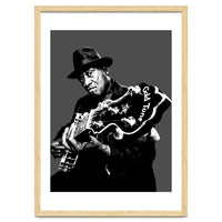 Taj Mahal American Blues Musician Legend