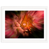 Backyard Flowers No 40 Color Flow Version thumbnail